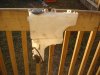 DSC01157.jpg