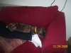 100_1028.jpg