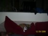 100_1029.jpg