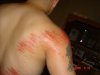 Pictures 030.jpg
