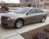 _O7_Altima_new_whip.jpg
