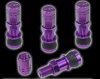 Valve Stems.JPG