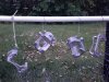 CAM00052.jpg