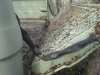 20150117_104413.jpg