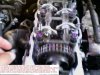 PlaceAllHeadBolts.jpg