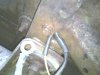 Picture 004.jpg