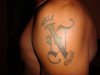 DSC00613.jpg