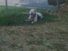 IMG00191-20100928-1717.jpg