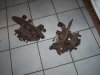 100_5421.jpg