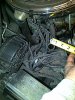 carb hose.jpg
