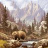 jon cusic