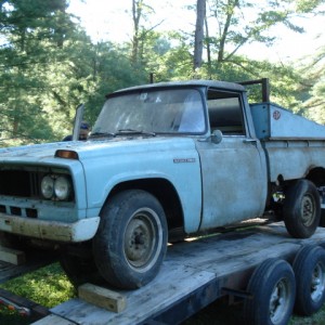 64 stout