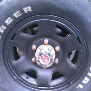 Stock rims newly undercoated